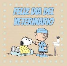 Ver más ideas sobre veterinaria, jugar a los médicos, oficios y profesiones. Feliz Dia Del Veterinario 6 Snoopy Dia Del Veterinario Dia Del Medico Veterinario Feliz Dia Del Medico