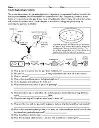 Genetic Engineering Insulin Worksheet By Briana Ransom Tpt