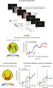 Select the speech options you want included with the language. Combined Predictive Effects Of Sentential And Visual Constraints In Early Audiovisual Speech Processing Scientific Reports