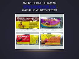 Belum Nemu Obat Alami Untuk Ayam Pelung Ngorok Hub 085 227 902020 Obat Alami Untuk Ayam Adu Ngorok Obat Alami Untuk Ayam Aduan Ngorok Obat Alami Ayam Alam