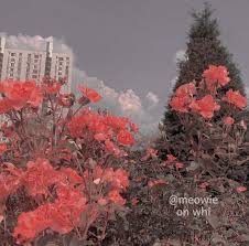 Red and white taxi parked outside the court sauna facade, city. Red Aesthetic And Background Image 6954892 On Favim Com