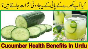 We did not find results for: Kheere Ke Fayde In Urdu Hindi Kheere Ka Istemal In Urdu Hindi By Shevanzi Tv