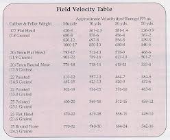 american airguns field use of an airgun