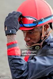 1,882 Gaskin Stock Photos, High-Res Pictures, and Images