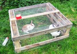 1 083 rabbit running stock video clips in 4k and hd for creative projects. Pin On Garden