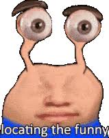 Large collection of the best gifs. Funny Gifs Tenor