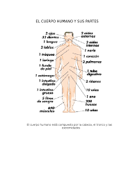 Imagenes de una mama abrazando a su hija para dibujar imagenes de una mama y su hija animada imagenes de una familia reunida en navidad animada imagenes de una familia para dibujar animada imagenes de una mesa para dibujar imagenes de una mama y su hija para dibujar imagenes de una mano con. Imagenes De Organismo Humano Organos El Cuerpo Humano Y Sus Partes