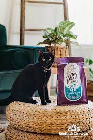 Raw Coated Kibble For Cats Natural Cat Food Cat Hug Wild Caught Salmon