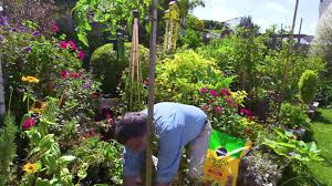 In Ground Gardening With Ashton Ritchie Ace Hardware Lawn And Garden Annual Plants Garden Soil