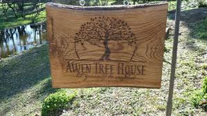 Are you, are you coming to the tree where i told you to run, so we'd both be free. Fulfill Your Childhood Dreams At Awen Tree House The Interview Ecobnb