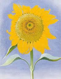 Georgia O Keeffe Sunflower New Mexico I 1935 Georgia O Keefe Art Georgia O Keeffe Paintings O Keeffe Paintings