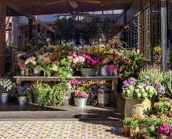 Fresh flowers provides easy online flower order and delivery across australia, making it a breeze to share feelings and smiles with the special people in your life whether they be near or far. Florist The Grounds Of Alexandria