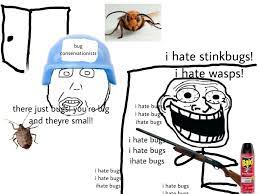 Stupid bugs