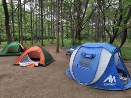 A Nice Camping Site Surrounded By Uncle Really Love The Fresh Air Here Camping Hiking Outdoors Tent Outdoor Carav Best Camping Gear Camping Camping Gear