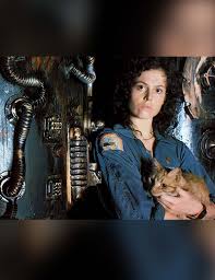 Want to get straight to what's number 1? Imdb S 7 Highest Rated Sci Fi Films On Netflix More With The Best Shocking Plot Twists Gq India Gq Binge Watch