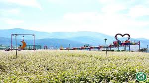 Mê linh coffee garden từ lâu đã trở thành một địa điểm du lịch tuyệt vời dành cho tất cả mọi người khi đặt chân tới đà lạt. Quan Cafe Me Linh Ä'á»‹a Ä'iá»ƒm Sá»'ng áº£o Khong Thá»ƒ Bá» Qua Khi Ä'áº¿n Ä'a Láº¡t