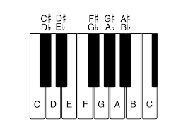 This is a place to post them. How Accidentals Work In Music Do Re Mi Studios