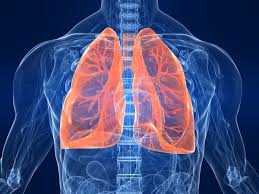 While a nagging cough is a telltale sign, the. Lung Cancer Signs Symptoms Types Treatment Live Science