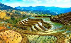 Checkout high quality philippines wallpapers for android, desktop / mac, laptop, smartphones and tablets with different resolutions. The Spectacular Rice Terraces In The Philippines Hd Wallpapers Picture Background Photos Image Banaue Rice Terraces Wonders Of The World Rice Terraces