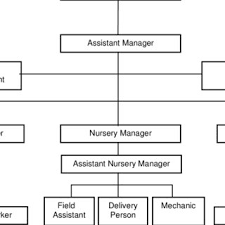 Line And Staff Organization Structure Download Scientific