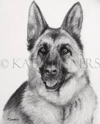 This video tutorial is made. German Shepherd Drawn In Charcoal Canvas Print Canvas Art By Kate Sumners German Shepherd Art Dog Drawing Animal Drawings