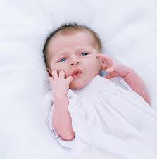 👋🏼 Dr. Mary Lanier here 👋🏼 I wanted to check in, say hey, and formally  introduce you to our newest Z-team member, Ella Jane Berne! 💕 While I've  missed being with each