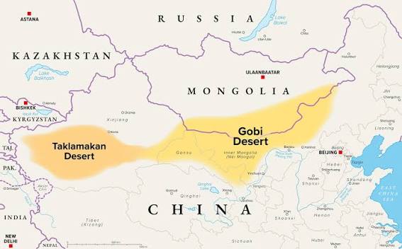 Shrubs curb carbon emissions in China's largest desert | UCR News | UC  Riverside