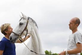 Templeton joined trivest in 1989. Twee Ruiters Op Een Kussen Helden