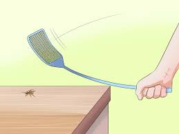 It is very difficult to tell exactly how big and how many bees are nesting; 3 Ways To Kill A Bee Wikihow