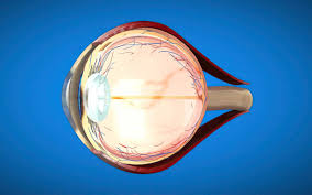 Image result for Refractive Error