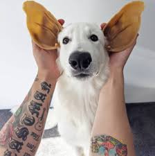 If you would like to share a photo of your puppy, however, we ask that you either do it in the weekly photo thread or at the end of your text post. Veggie Ear All Natural Daily Dental Treat For Dogs Whimzees English Au Nz