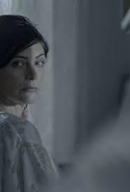 In So Many Words (2013)