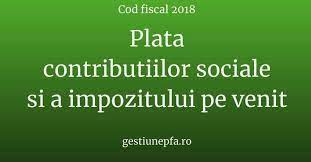 Ci doar impozit 10% pe norma de venit. Declaratia Unica Cum Se Platesc Contributiile Sociale Si Impozitul Pe Venit Ghid Pfa