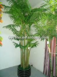 Local pet stores are definitely a good idea! High Imitation Good Looking Artificial Fake Big Palm Tree For Home And Wedding Furniture Decoration Buy High Imitation Good Looking Artificial Fake Big Palm Tree For Home And Wedding Furniture Decoration Outdoor Green Plants Fake