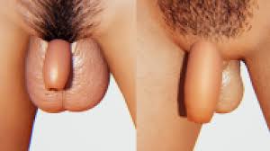 包茎ちんこ – ハニーセレクト２勝手にアップローダー