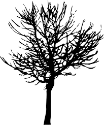Download Tree Silhouette Free Png Transparent Image And Clipart