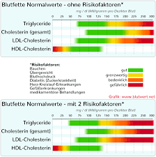 Blutfett Werte Bei Vielen Erhoht Riskant