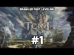 Only played a few dungeons so far but i'm wondering if the powerlink on roundhouse kick. Tera Console Fast Leveling Guide To 65 Brawler 1 16 Youtube