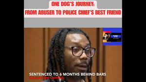 Need Urgent Help for Momma and 10 Pups in Donna, Texas