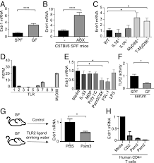 Fkpm dalam mewujudkan kamtibmas dilaksanakan melalui pembinaan kegiatan siskamling, pam swakarsa, dan pengaturan lalu lintas. Microbiota Promotes Systemic T Cell Survival Through Suppression Of An Apoptotic Factor Abstract Europe Pmc