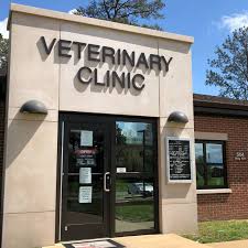 CLINIC VET
