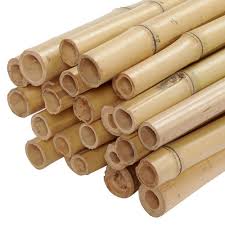 Backyard X Scapes 1 In X 8 Ft Natural Bamboo Poles 25 Pack Bundled Hdd Bp05 The Home Depot In 2020 Tiki Bars Backyard Bamboo Poles Backyard Fences