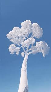 冬日烟火新年序章