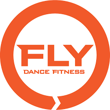 Image result for fly logo