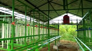 We did not find results for: Kandang Kambing Purworejo 1 Youtube