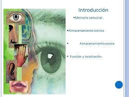 La memoria sensorial
