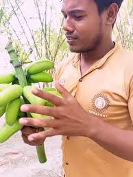 Sosa Viral Vedio Ridi