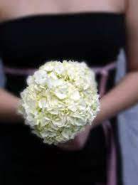 We did not find results for: White Hydrangeas Wedding Bouquets Florida Photo Magazine Com