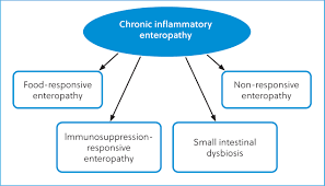 Image result for Intestinal Enteropathy