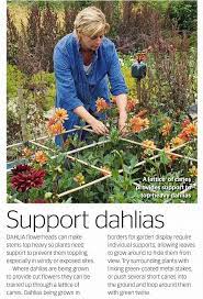 Dahlia Supports Cvetovodstvo Sad Rasteniya